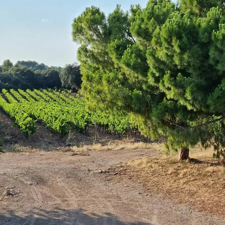 De L'estagnol Apartment Villeneuve-les-Maguelonne